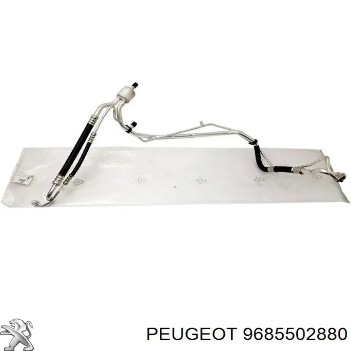 Купити 9685502880 Peugeot/Citroen 