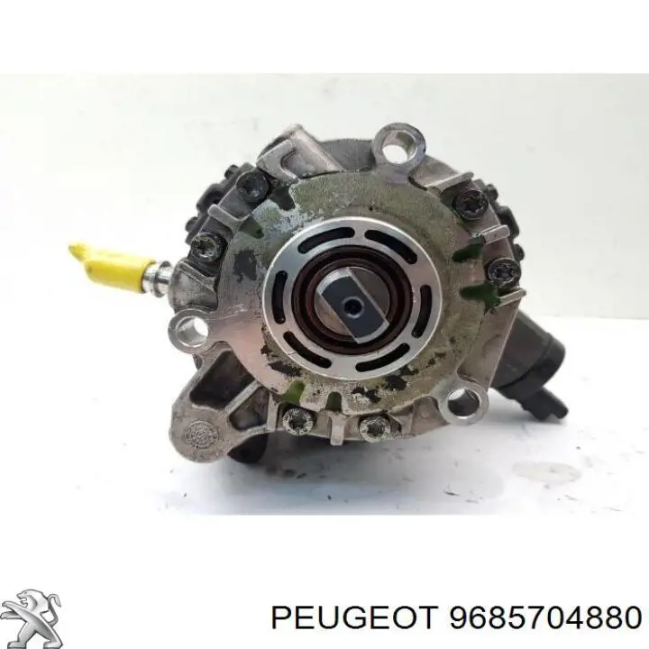 9685704880 Peugeot/Citroen 