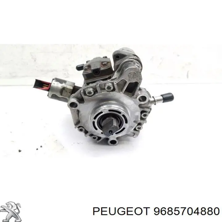 Купити 9685704880 Peugeot/Citroen 