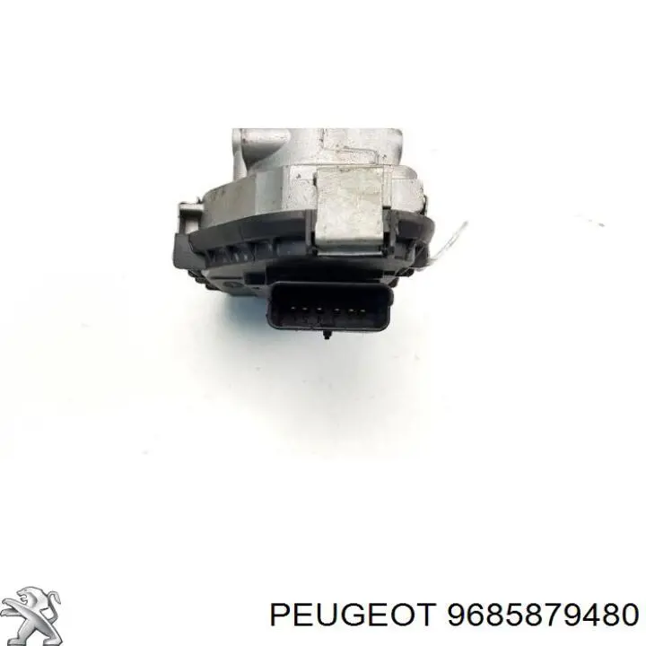 163667 Peugeot/Citroen дросільна заслінка в зборі