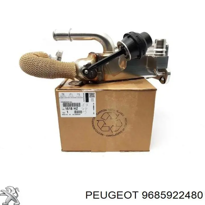  9685922480 Peugeot/Citroen