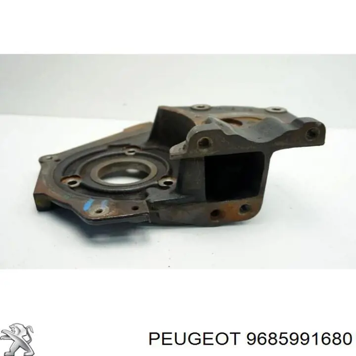 9685991680 Peugeot/Citroen 