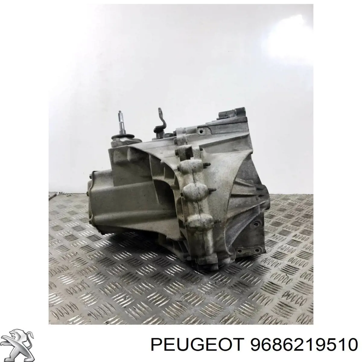  9686219510 Peugeot/Citroen