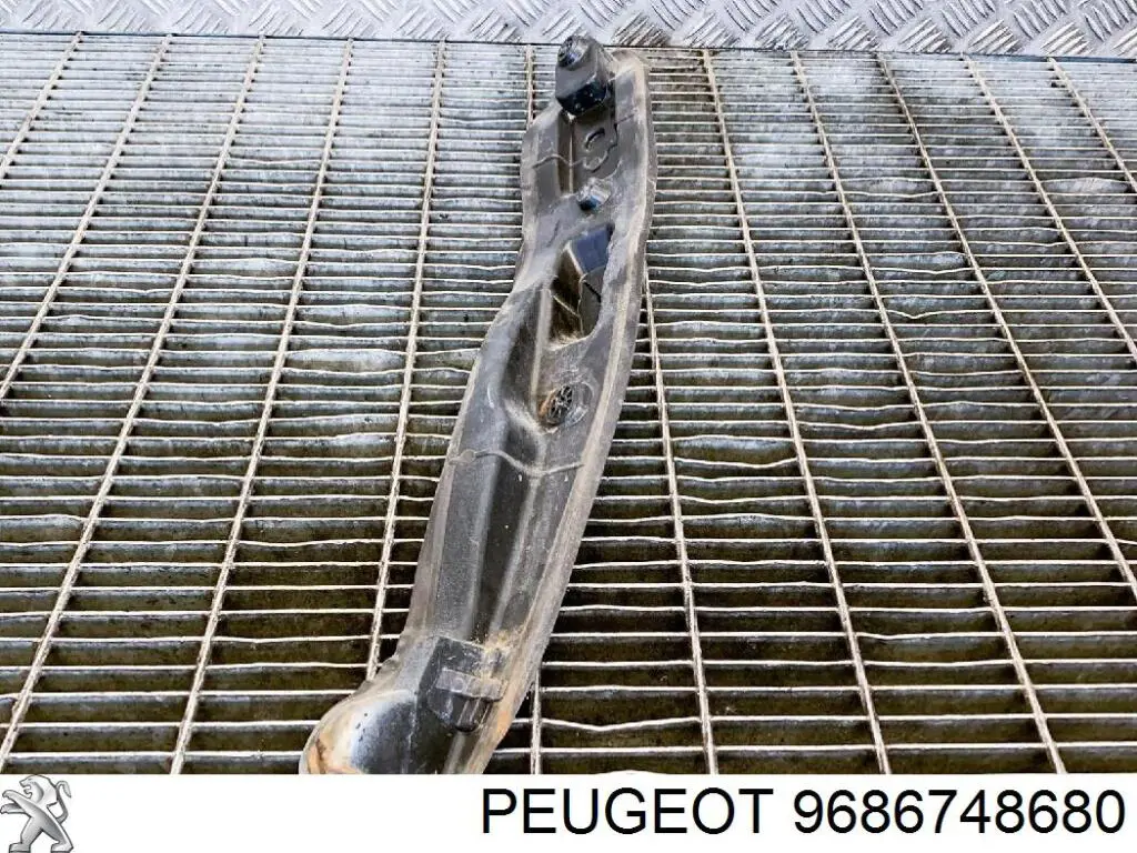  9686748680 Peugeot/Citroen