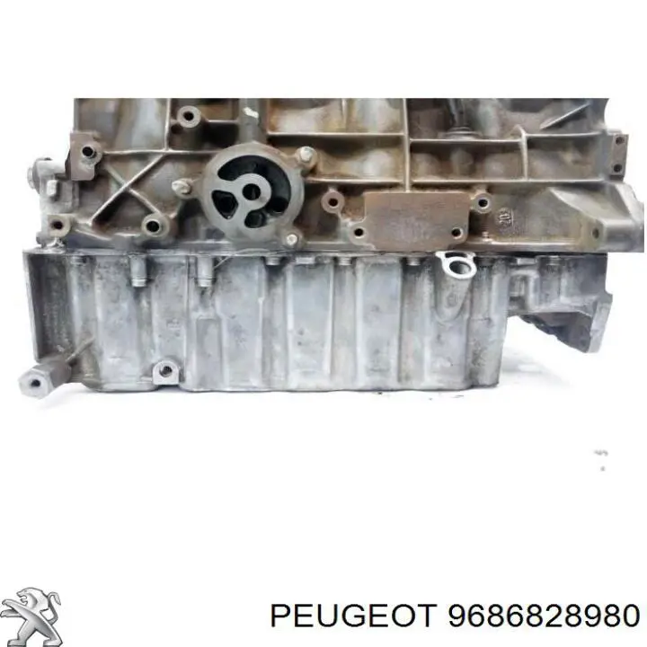 Купити 9686828980 Peugeot/Citroen Захист двигуна
