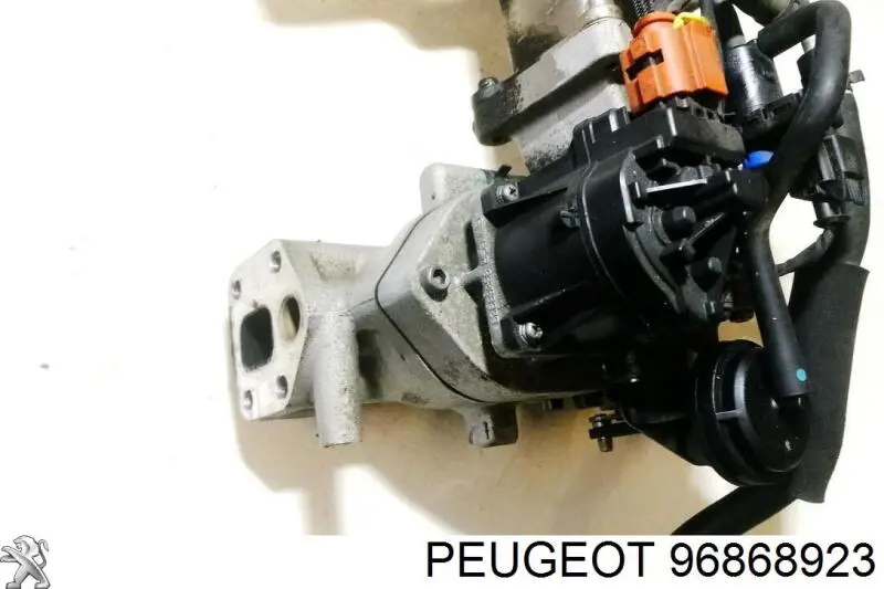 Клапан EGR, рециркуляції газів 96868923 Peugeot/Citroen