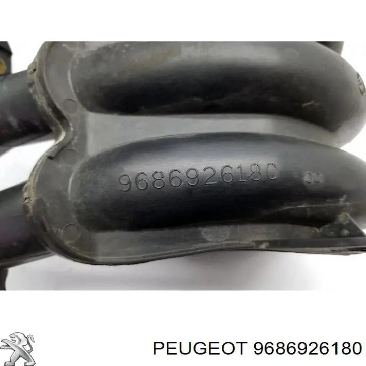 9686926180 Peugeot/Citroen 