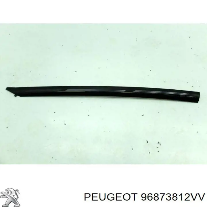  96873812VV Peugeot/Citroen