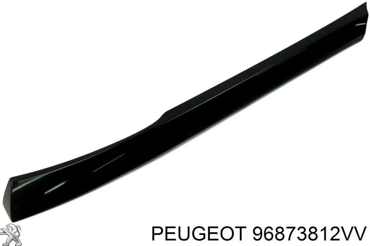 96873812VV Peugeot/Citroen 