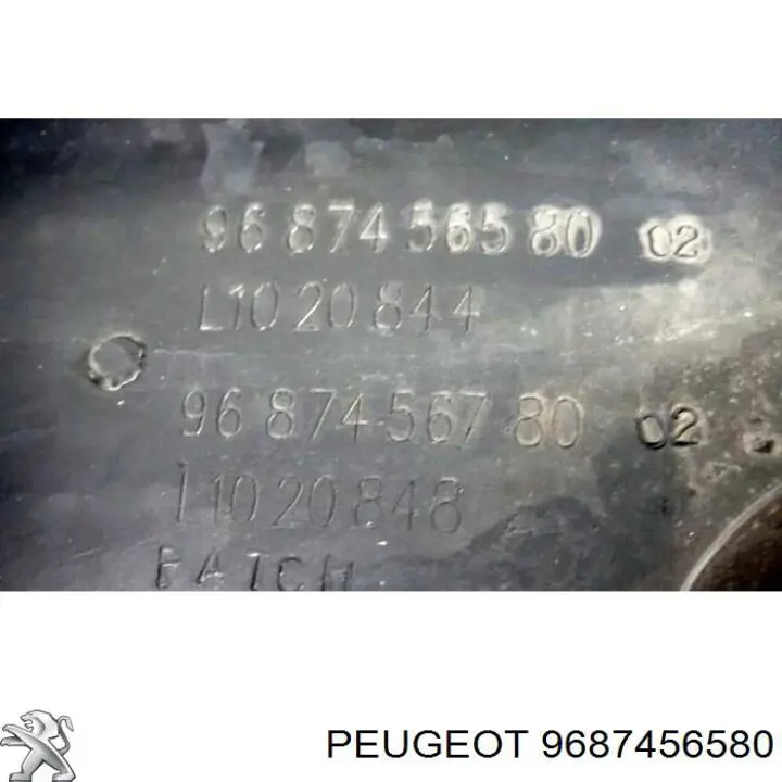 9687456580 Peugeot/Citroen 
