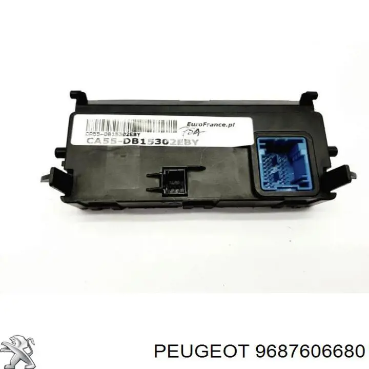 9687606680 Peugeot/Citroen 