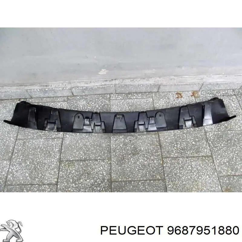 Купити 9687951880 Peugeot/Citroen 