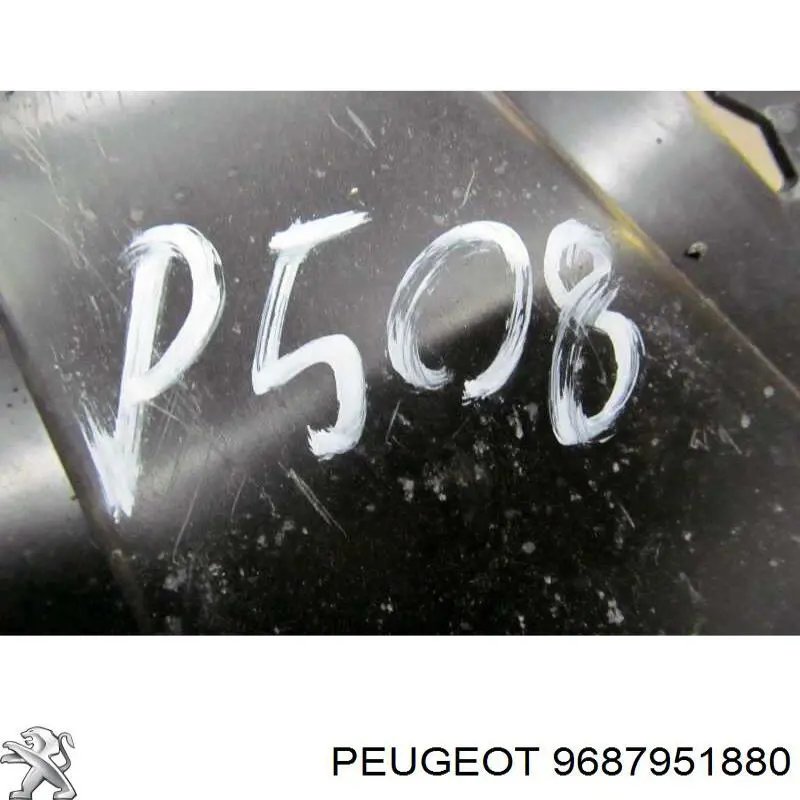 9687951880 Peugeot/Citroen 
