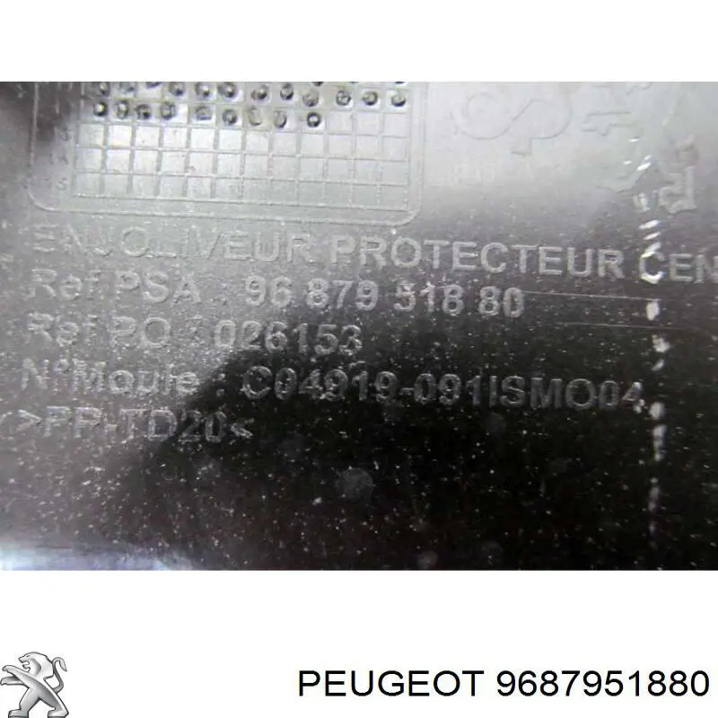  9687951880 Peugeot/Citroen