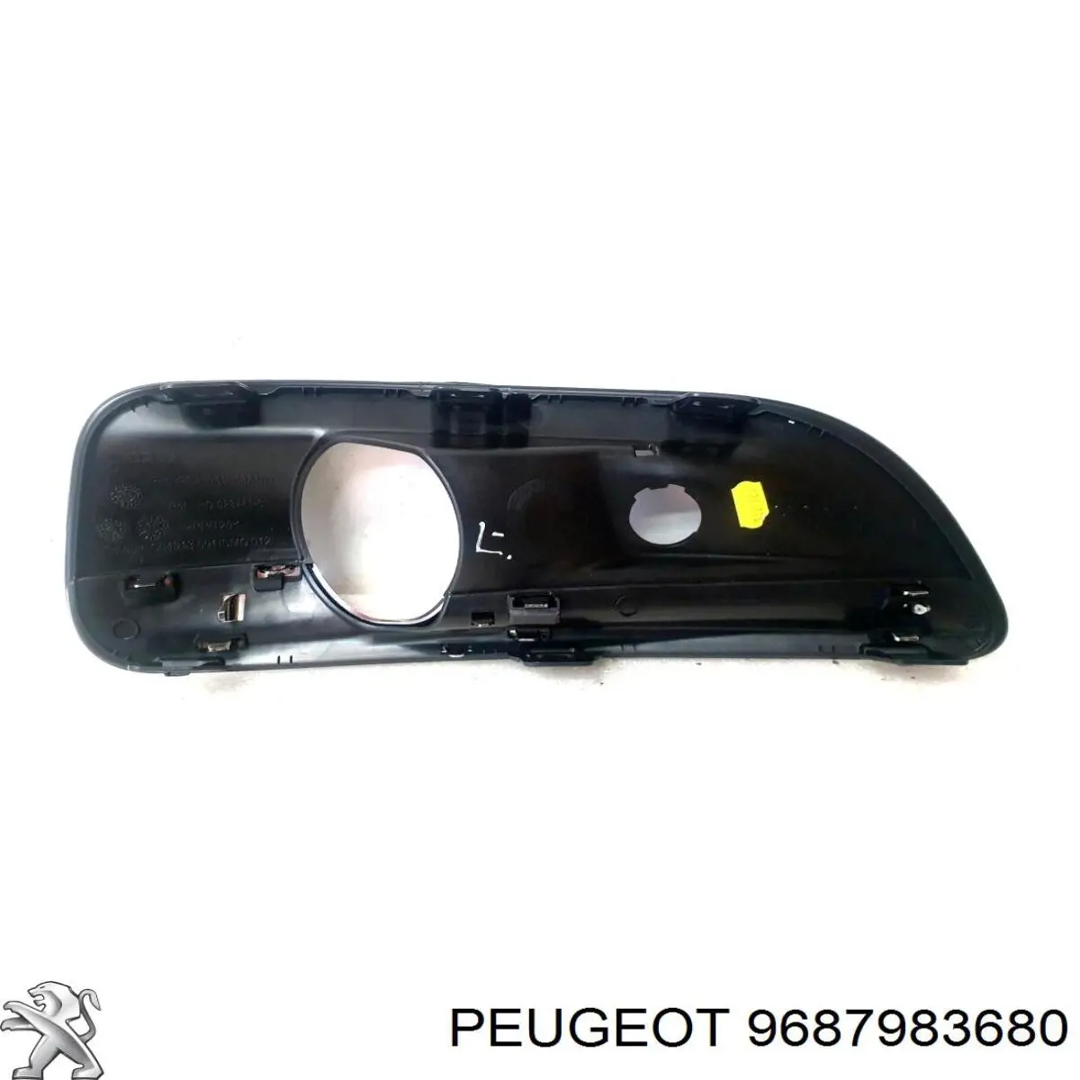  9687983680 Peugeot/Citroen