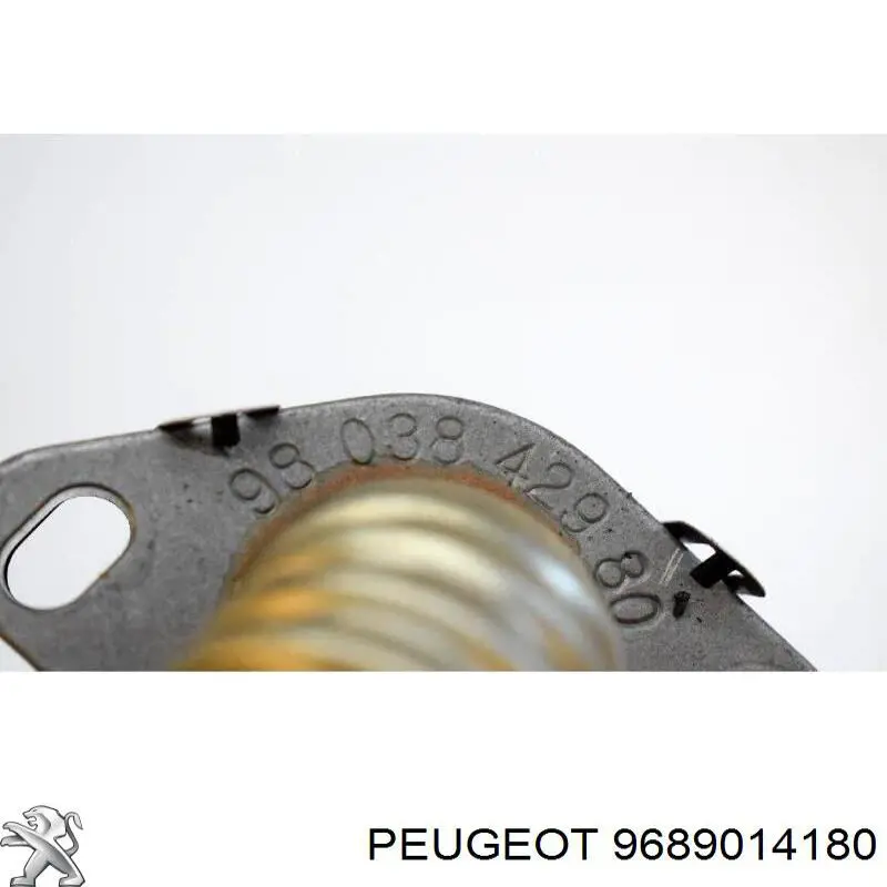 Купити 9689014180 Peugeot/Citroen Резонатор повітряного фільтра