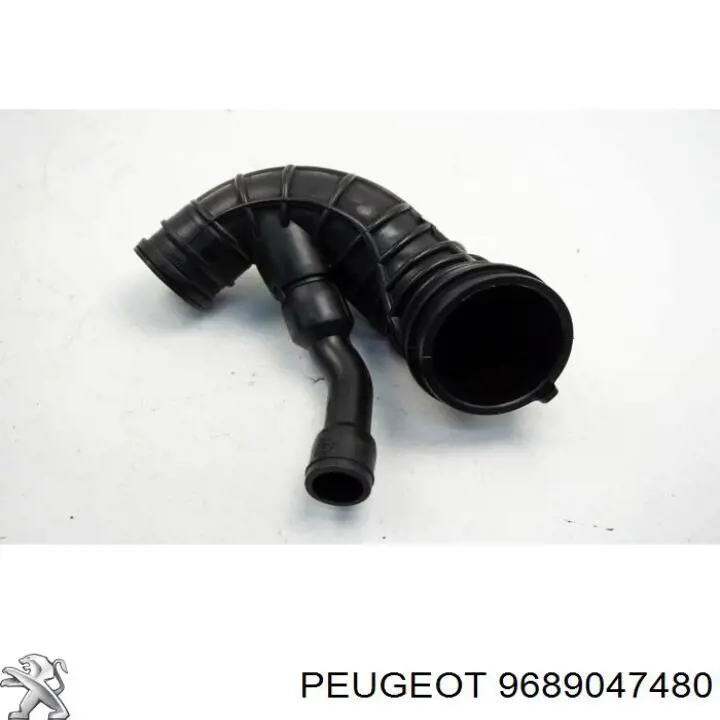  9689047480 Peugeot/Citroen