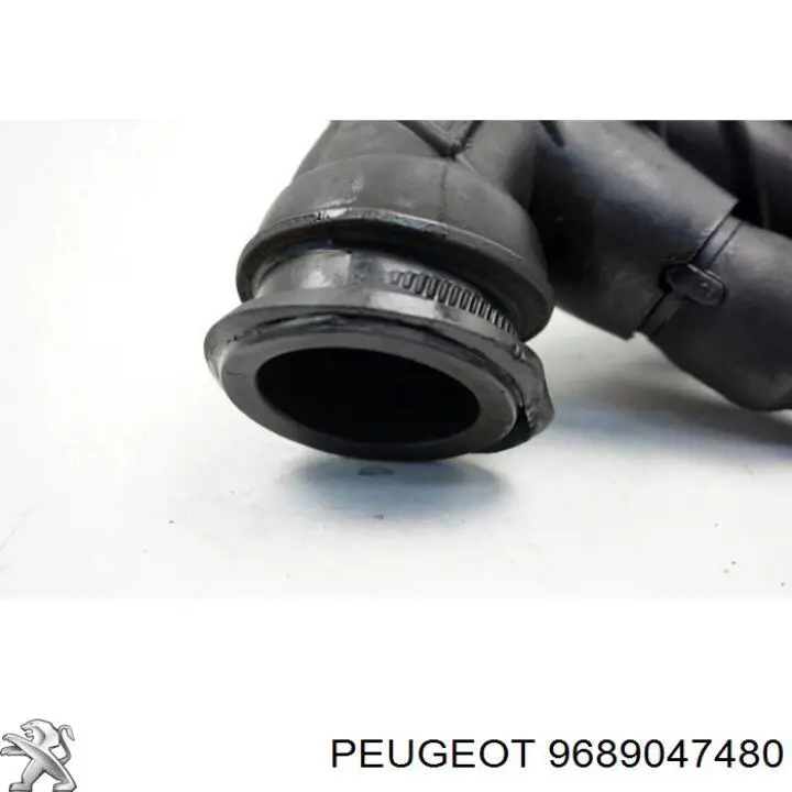 9689047480 Peugeot/Citroen 