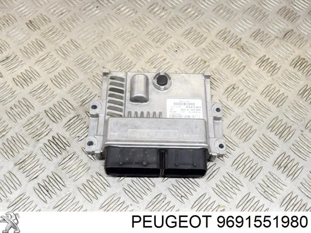 9691551980 Peugeot/Citroen 