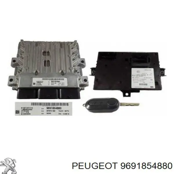 Купити 9691519880 Peugeot/Citroen Модуль управління двигуном