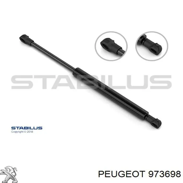 Купити 973698 Peugeot/Citroen РІдина для очищення сажекоптевих фільтрів