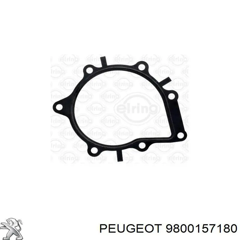 9800157180 Peugeot/Citroen прокладка вакуумного насосу