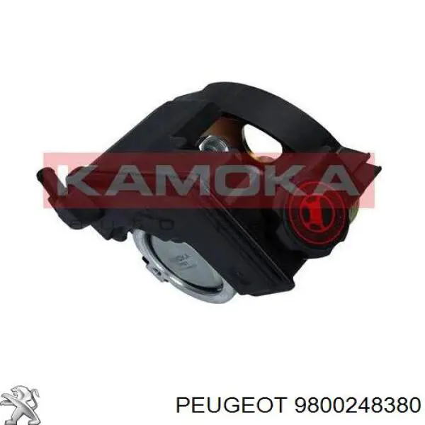 Купити 9800248380 Peugeot/Citroen Насос гідравліки