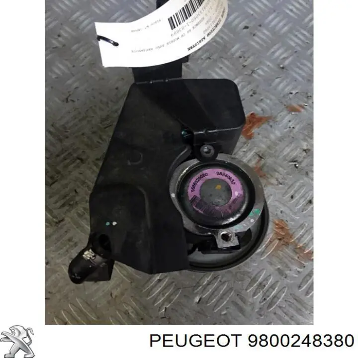 Насос ГПК Peugeot/Citroen 9800248380 ціна, від 43.22 USD
