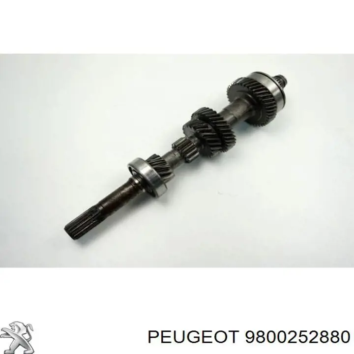  9800252880 Peugeot/Citroen