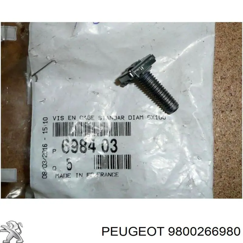 9800266980 Peugeot/Citroen 