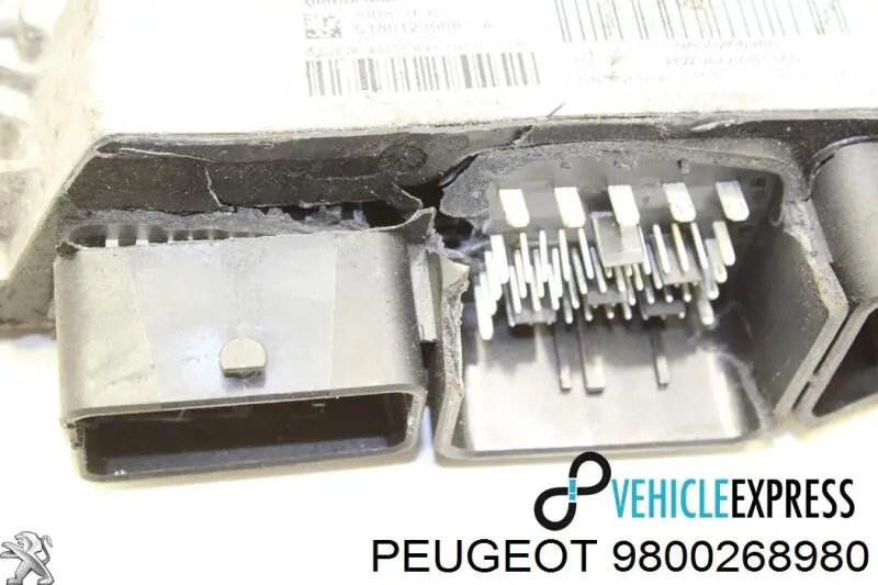  9800268980 Peugeot/Citroen
