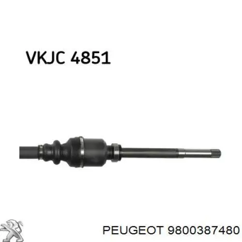 9800387480 Peugeot/Citroen Привід передній правий