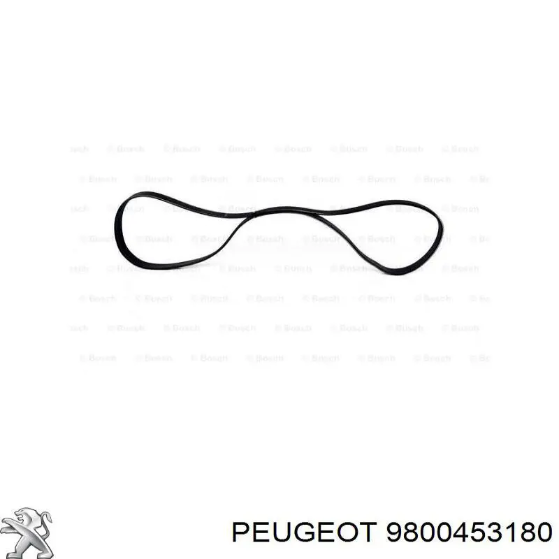 Купити 9800453180 Peugeot/Citroen Ремінь генератора