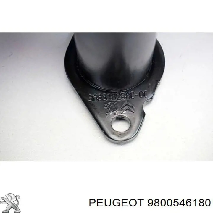 9800546180 Peugeot/Citroen 
