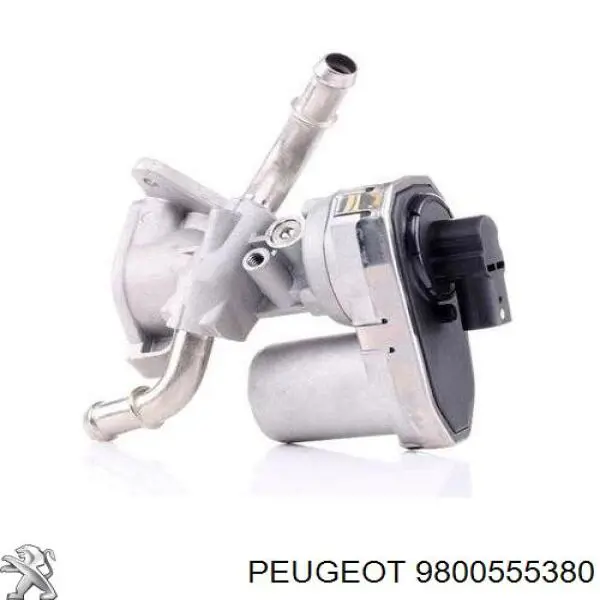 Купити 9800555380 Peugeot/Citroen Прилади управління системи рециркуляції