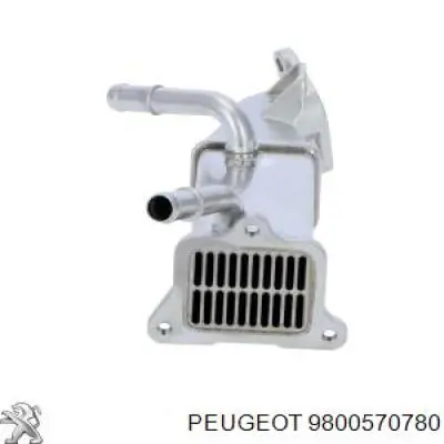 Радіатор системи EGR рециркуляції вихлопних газів 9800570780 Peugeot/Citroen
