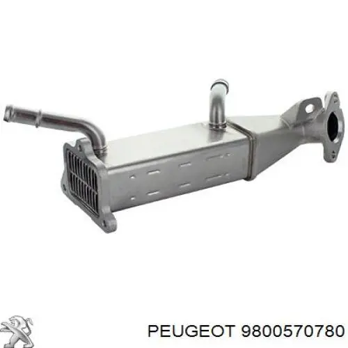 Peugeot/Citroen радіатор системи рециркуляції ог