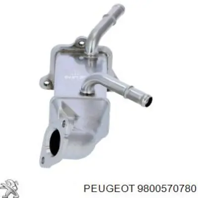 Купити 9800570780 Peugeot/Citroen Радіатор системи EGR рециркуляції вихлопних газів