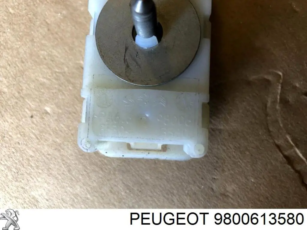 9800613580 Peugeot/Citroen 