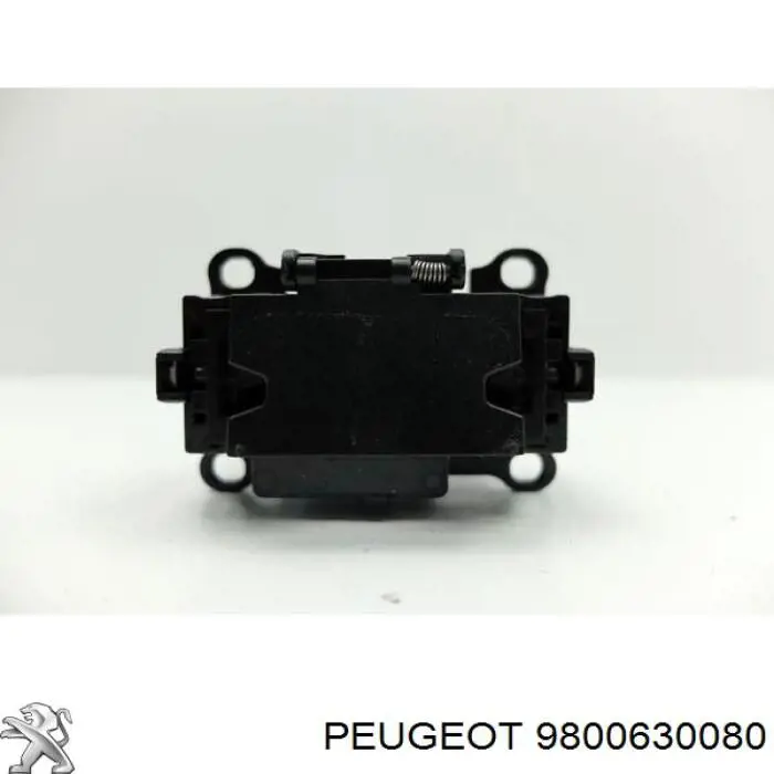 Купити 9800630080 Peugeot/Citroen 