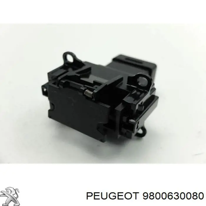 9800630080 Peugeot/Citroen 