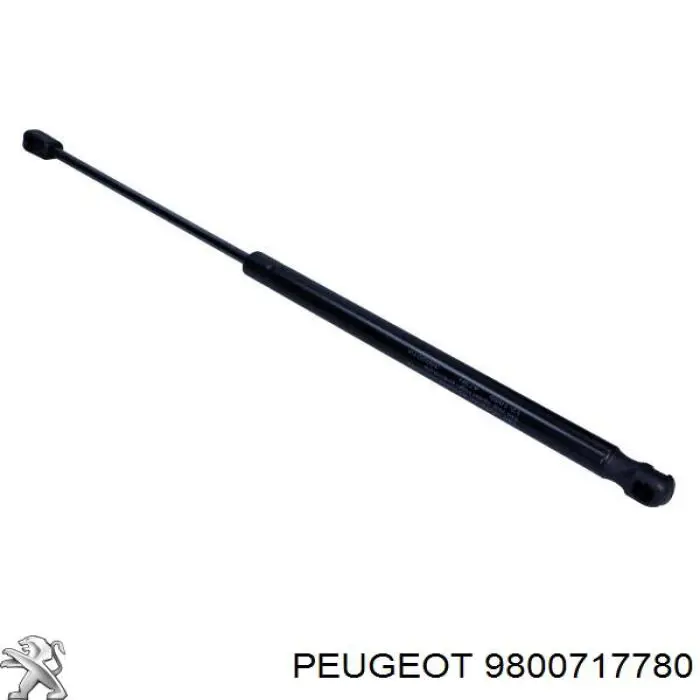Амортизатор двері задньої Peugeot/Citroen 9800717780 ціна, від 11.10 USD