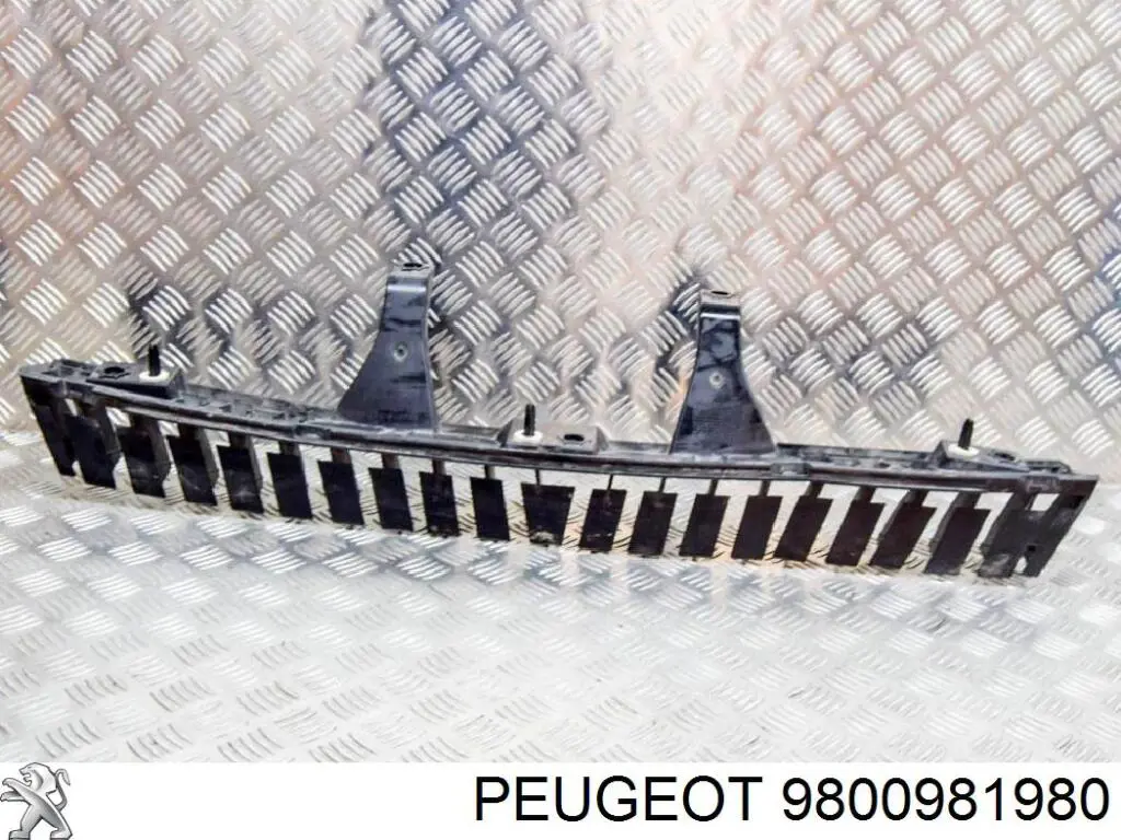  9800981980 Peugeot/Citroen