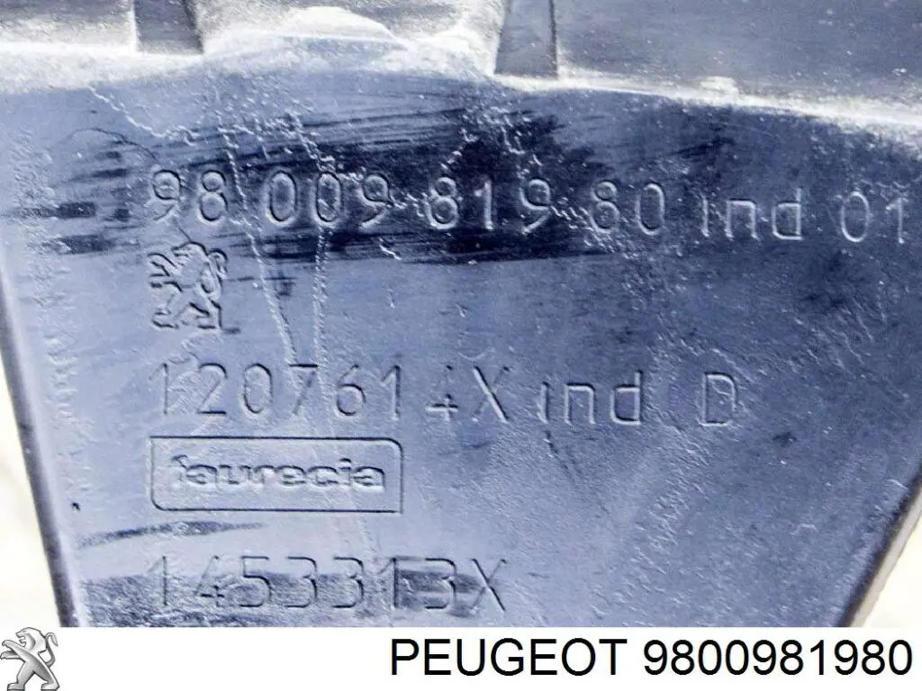 Кронштейн бампера заднього, центральний 9800981980 Peugeot/Citroen