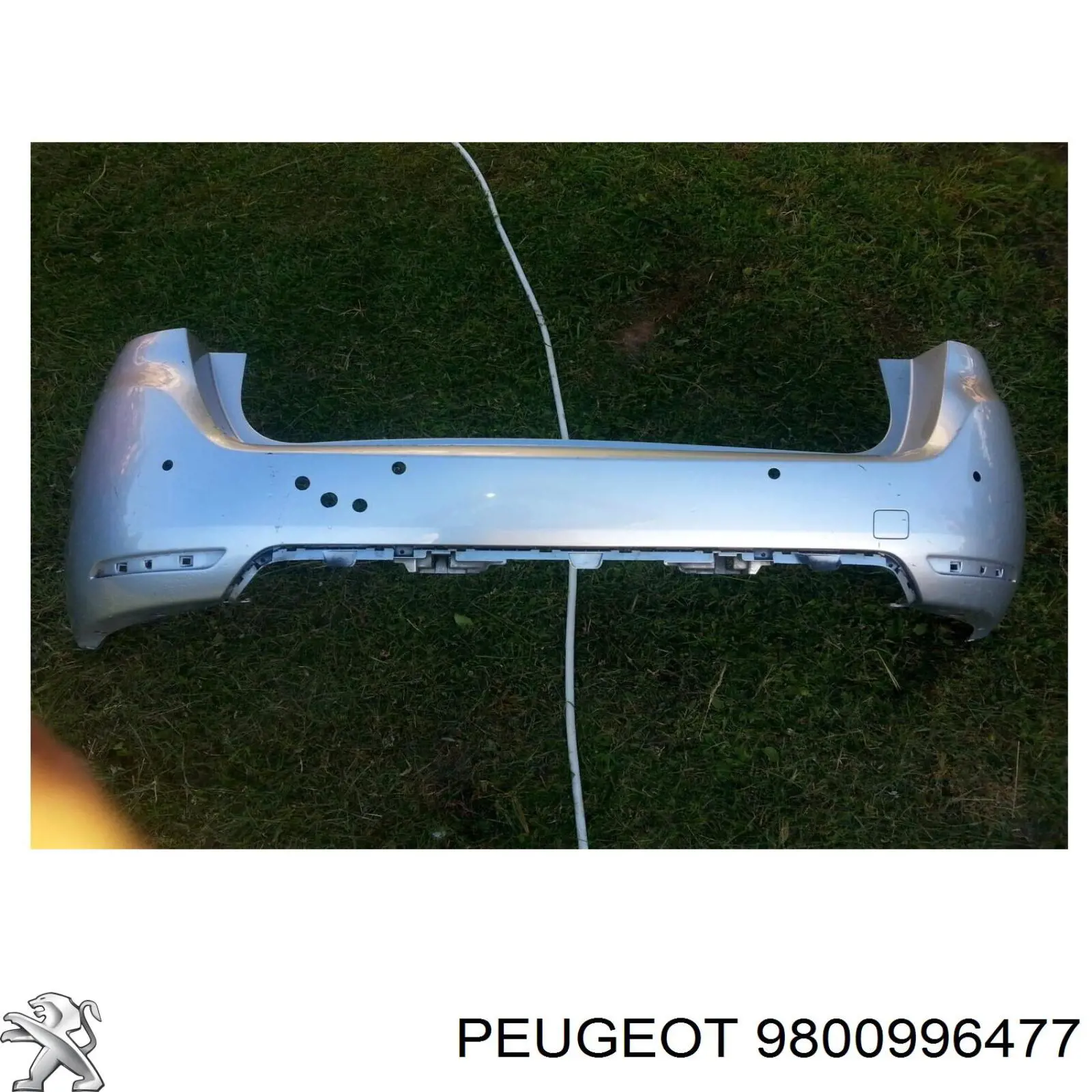  9800996477 Peugeot/Citroen