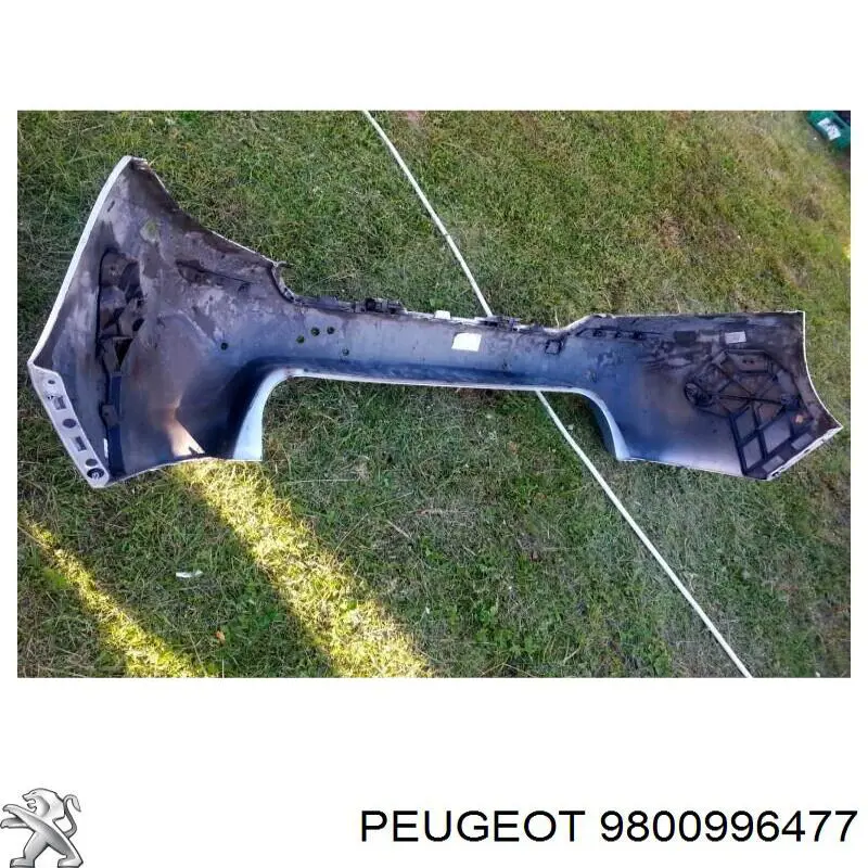 9800996477 Peugeot/Citroen 