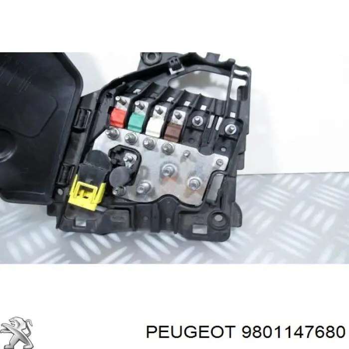  9801147680 Peugeot/Citroen