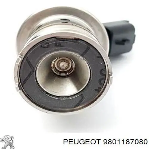 Купити 9801187080 Peugeot/Citroen Форсунка вприскування AD BLUE