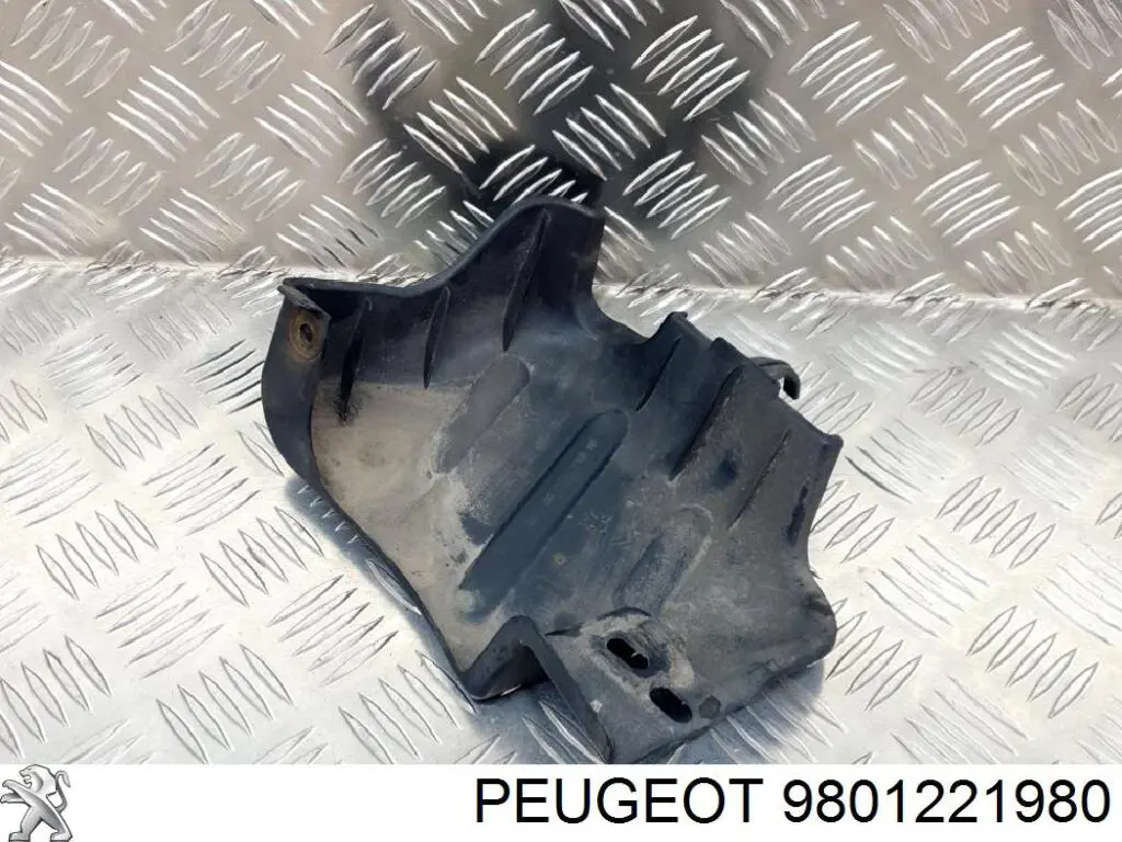  9801221980 Peugeot/Citroen