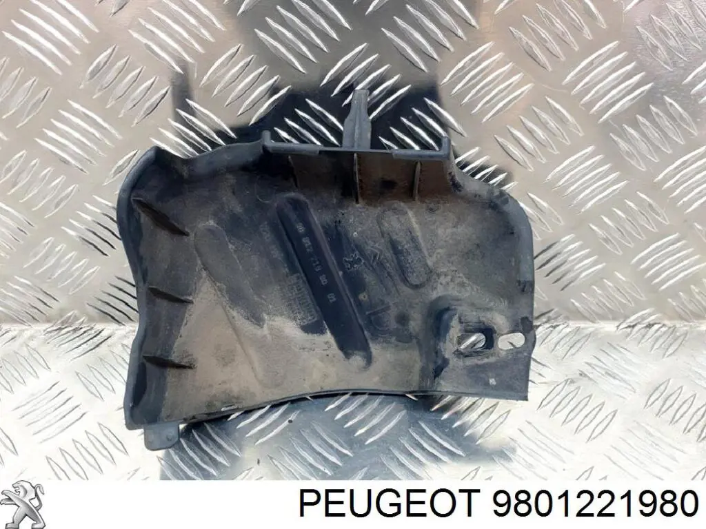 9801221980 Peugeot/Citroen 